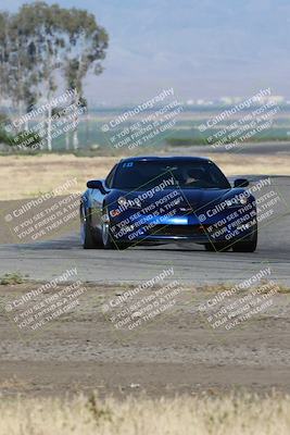 media/May-03-2024-PCA Central Coast (Fri) [[eaa7da0ee1]]/Yellow Group/Session 1 (Grapevine)/